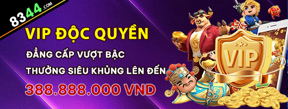 Hình ảnh quảng cáo của cmw hiển thị nền tảng và các lợi ích