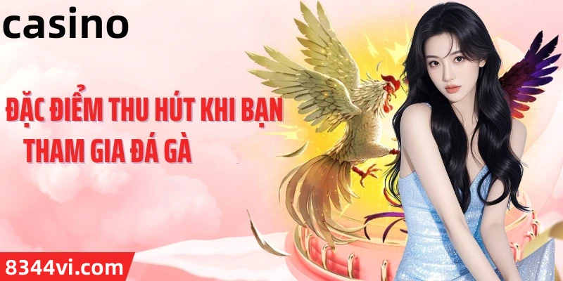 Hình ảnh quảng cáo của cmw hiển thị nền tảng và các lợi ích