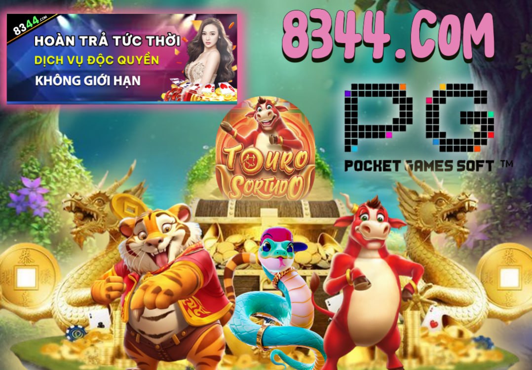 Hình ảnh quảng cáo của cmw hiển thị nền tảng và các lợi ích